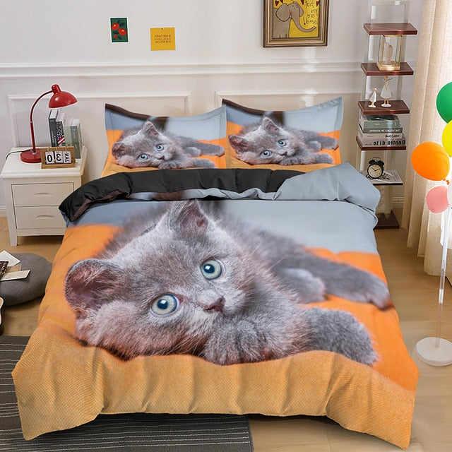 Kitten bedding hotsell